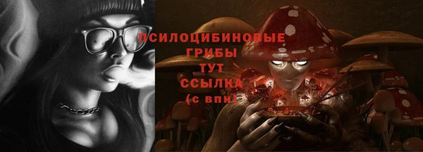 эйфоретик Заводоуковск