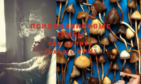 ешки Заволжск