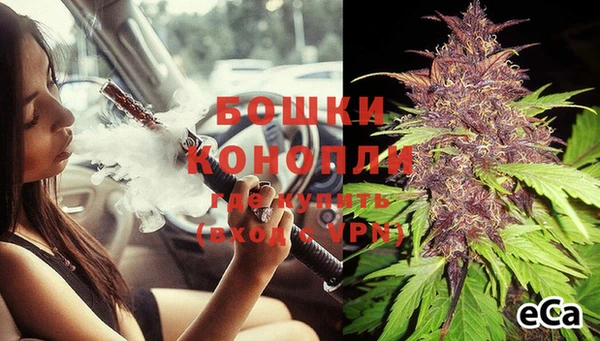 эйфоретик Заводоуковск